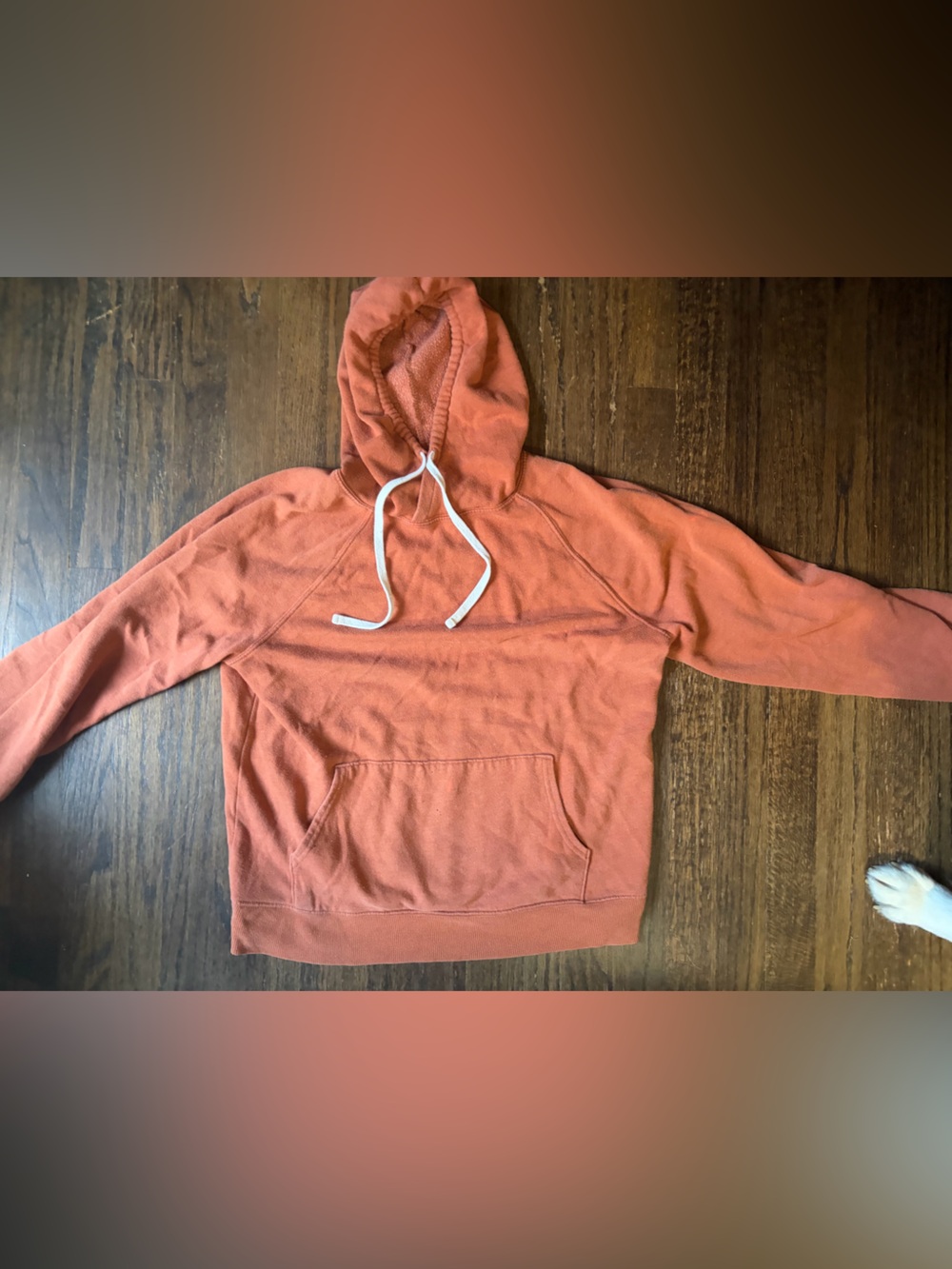 SO Rust Raglan Pullover Hoodie